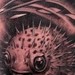 tattoo galleries/ - Deadly blowfish sushi